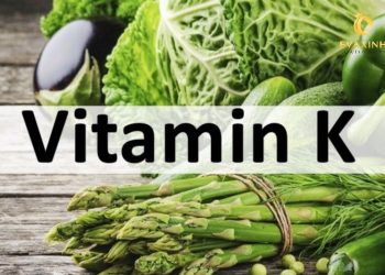 vitamin k có tác dụng gì